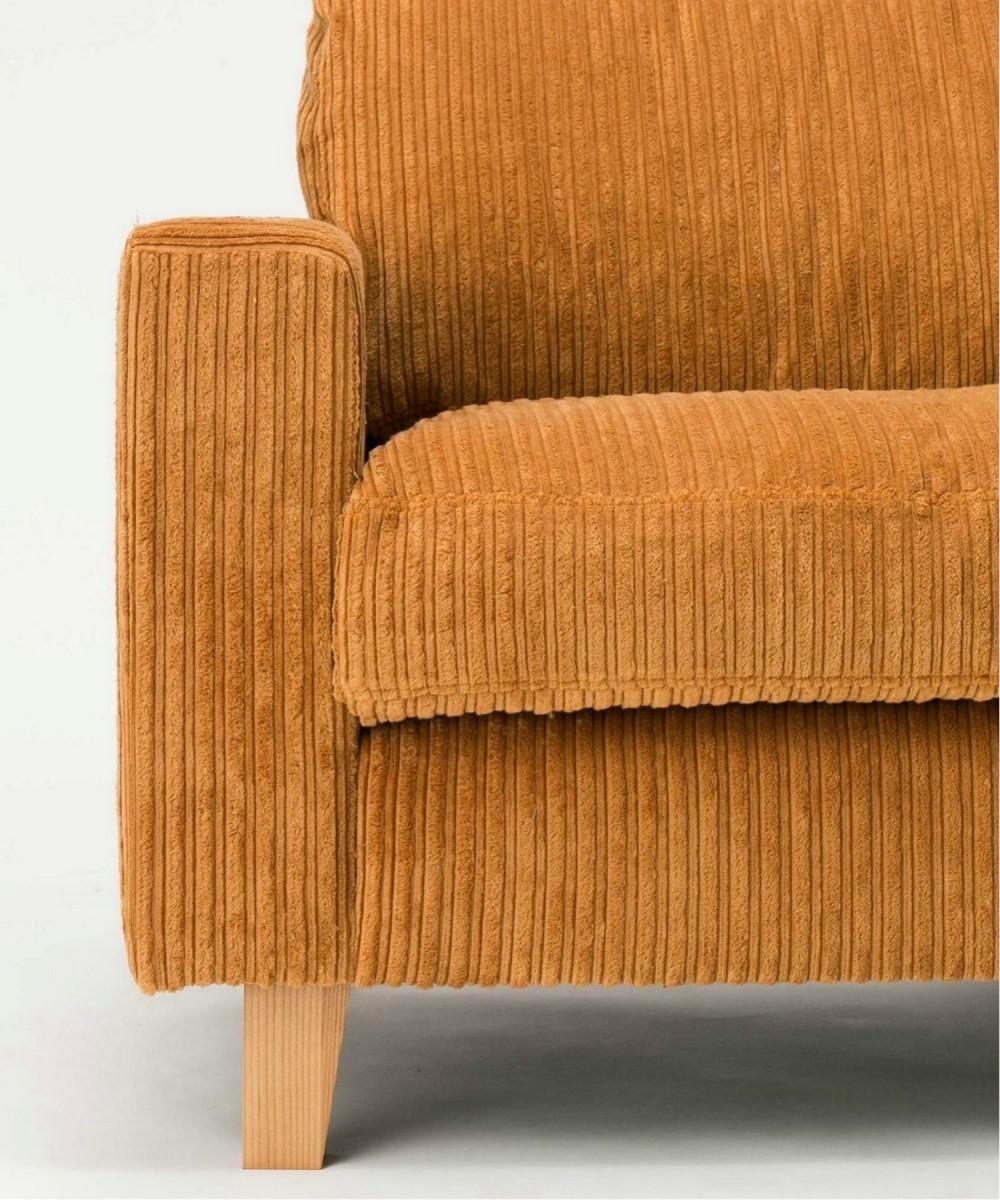 ACME Furniture（アクメファニチャー） JETTY feather SOFA 2P(L