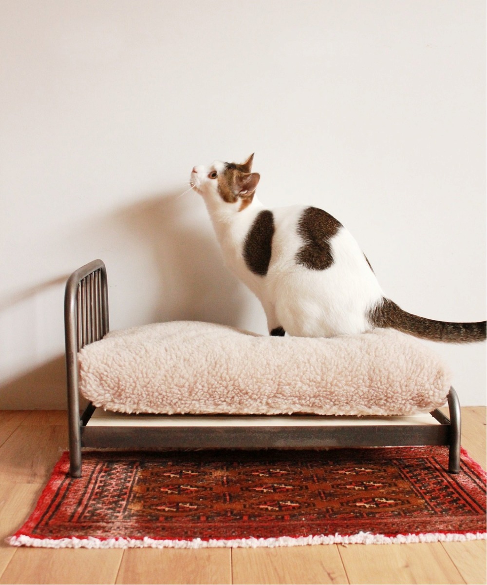 journal standard Furniture JOURNAL STANDARD FURNITURE