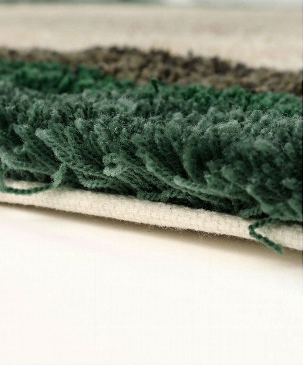 ACME Furniture（アクメファニチャー） ACME Furniture POMONA RUG