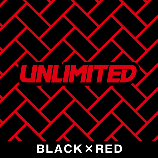 UNLIMITED アンリミテッド デッキマット テープ付き STX160用 ブリック Kawasaki 専用 ジェットスキー 水上バイク UL51014 | UNLIMITED | 04