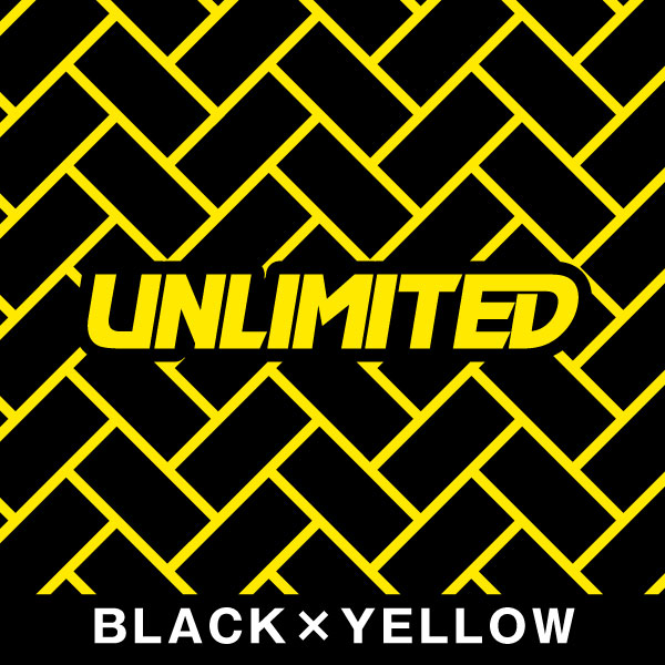 UNLIMITED アンリミテッド デッキマット テープ付き STX160用 ブリック Kawasaki 専用 ジェットスキー 水上バイク UL51014 | UNLIMITED | 06