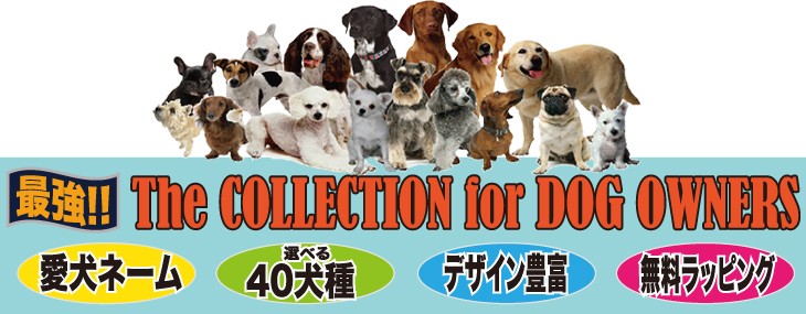 愛犬の名入れが出来るJストアドッグ商品案内タイトル