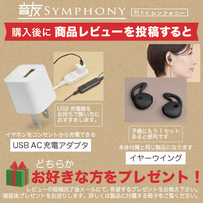 集音器 （USB電源アダプタ付）集音機能付 テレビ用 ワイヤレスイヤホン