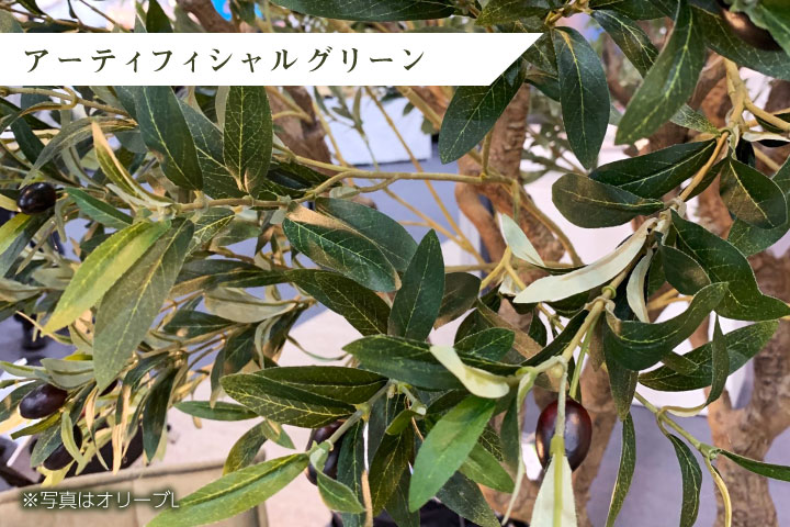 フェイクグリーン リアル 大型 特大 高さ180cm「オリーブS×Tall Square