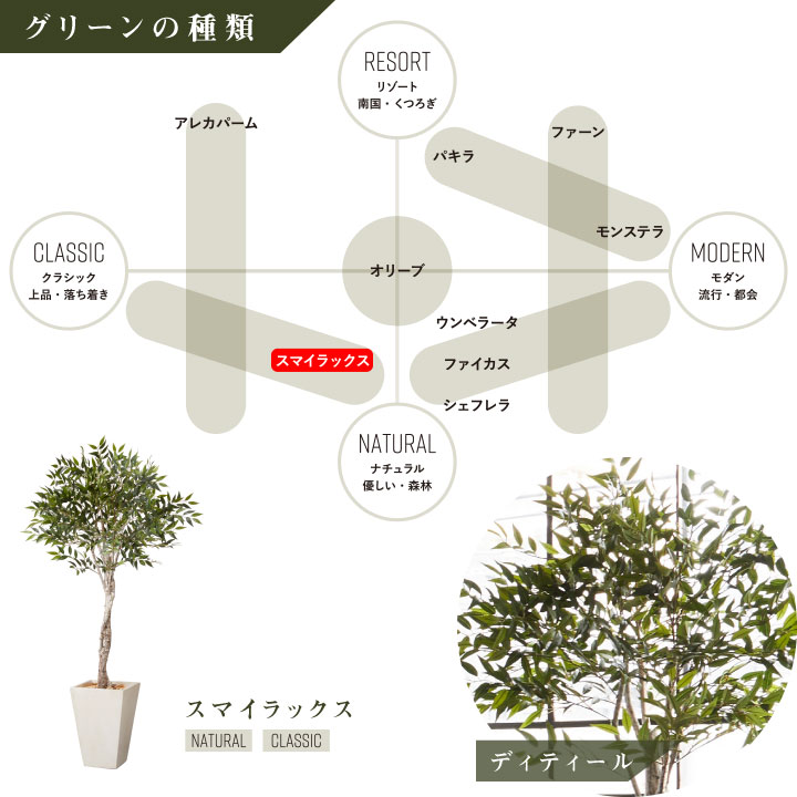 フェイクグリーン鉢セット 大型「スマイラックス×Tall Square w/g」高