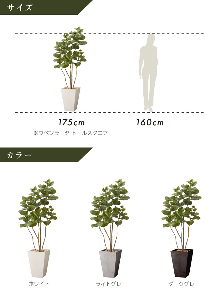 フェイクグリーン鉢セット 大型「ウンベラータ×Tall Square w/g」高さ175cm 人工観葉植物 インテリアグリーン おしゃれ リアル 室内  オフィス :G6CLCL-001869:郵便ポスト・表札のJUICYGARDEN - 通販 - Yahoo!ショッピング