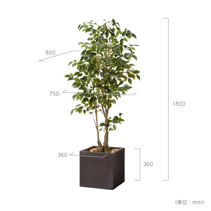 光触媒　人工観葉植物　ウォールグリーン　フェイクグリーン　ベンジャミンフィカスw 光触媒 人工観葉植物 ウォールグリーン フェイクグリーン