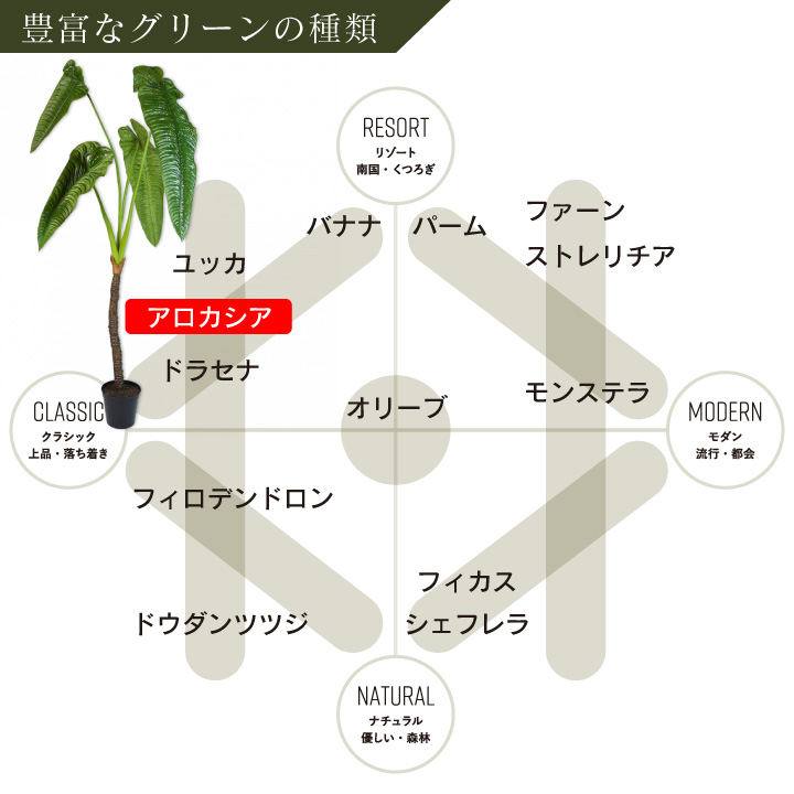 フェイクグリーン 大型「アロカシア 224cm シルカ（Silk-ka