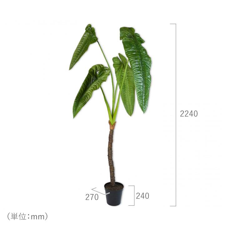フェイクグリーン 大型「アロカシア 224cm シルカ（Silk-ka