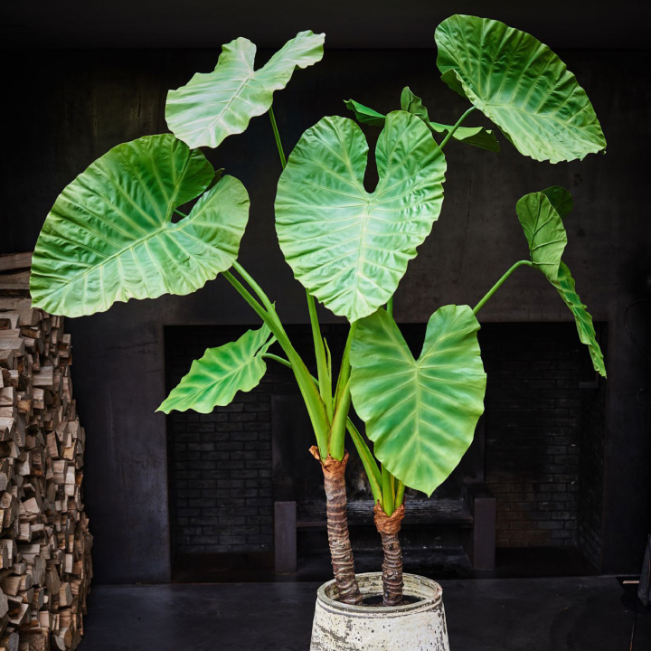 光触媒 人工観葉植物 ウォールグリーン フェイクグリーン 壁掛け