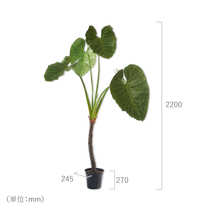光触媒　人工観葉植物　ウォールグリーン　フェイクグリーン　アロカシア斑入りポット フェイクグリーン 大型「アロカシア 220cm シルカ（Silk-ka