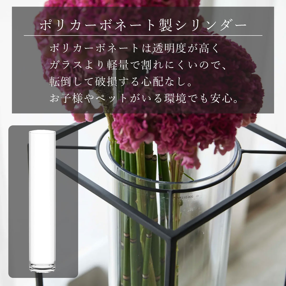 アイアン 花瓶 ポリカーボネート シリンダー セット 「 Frame for