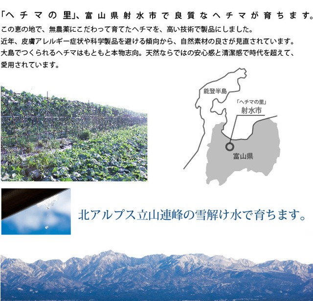 へちま靴中敷き