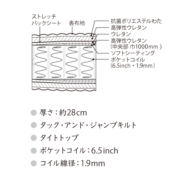 SIMMONS シモンズ 6.5インチコイル ゴールデンバリュー