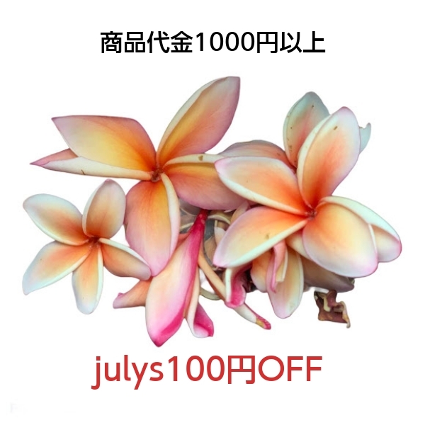 julys shopの「生活応援クーポン」のクーポン