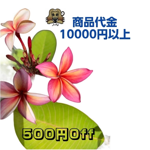 julys shopの「生活応援キャンペーン」のクーポン