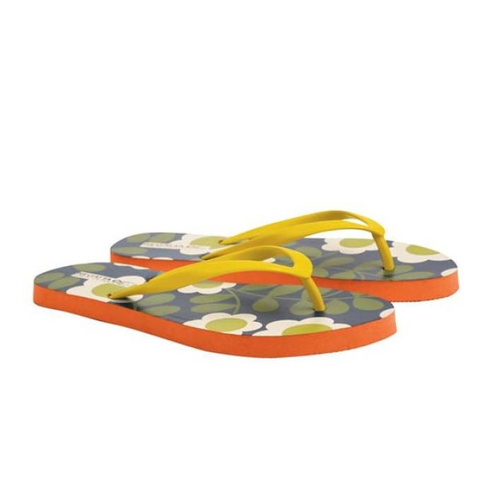 Regatta  Orla Flip Flop Women  եå ǥեå 塼 ¾塼 ǥ