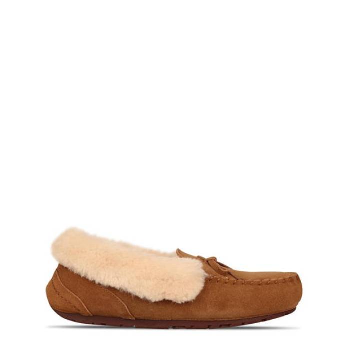 å 륹 Jack Wills  Moccasin Slipper Women  ǥ