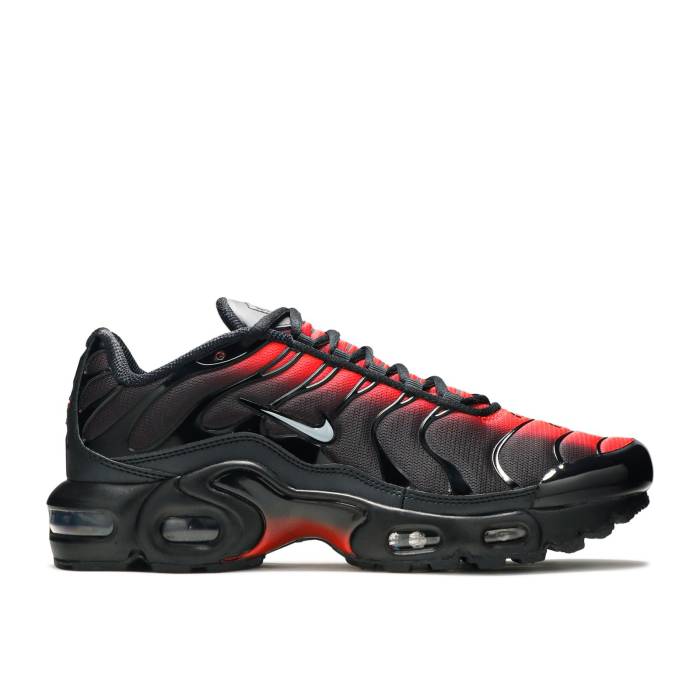 ʥ Nike  Air Max Plus Gs 'Black Crimson' Youth  ˥ å