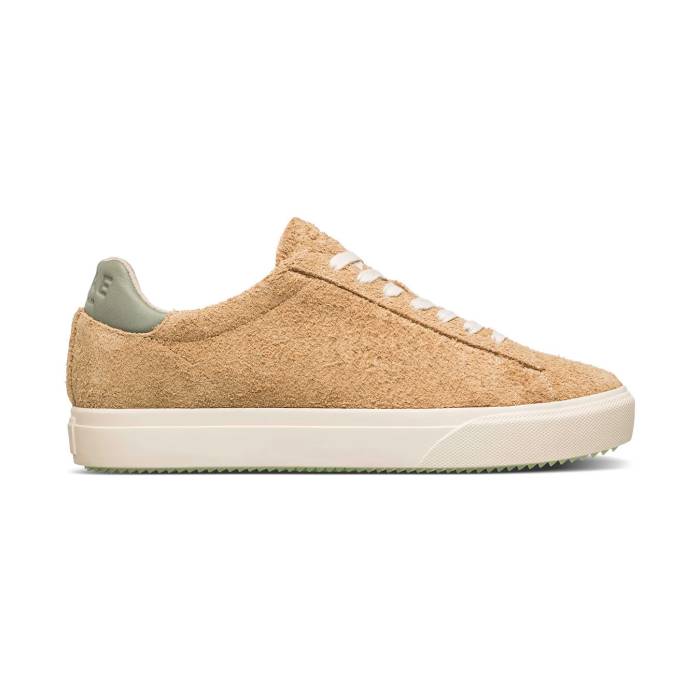 쥤 Clae  Bradley Venice Starfish Suede Tea Men  եå 󥺥եå 塼 ¾塼 
