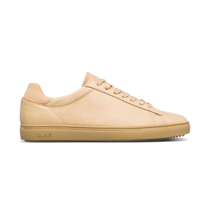 쥤 Clae  Bradley Starfish Leather Men  եå 󥺥եå 塼 ¾塼 