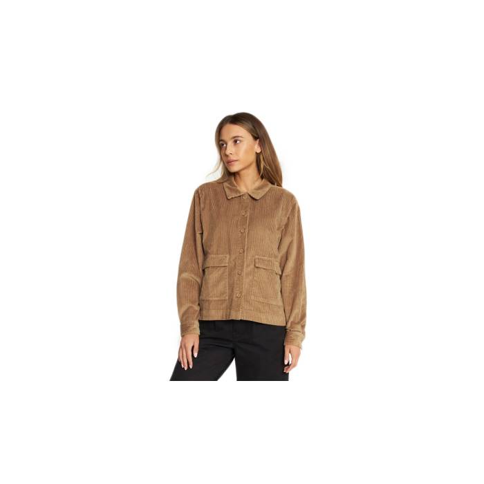 Dedicated 【 Shirt Lima Corduroy Tiger Brown Women 】 ファッション レディースファッション トップス その他トップス レデ