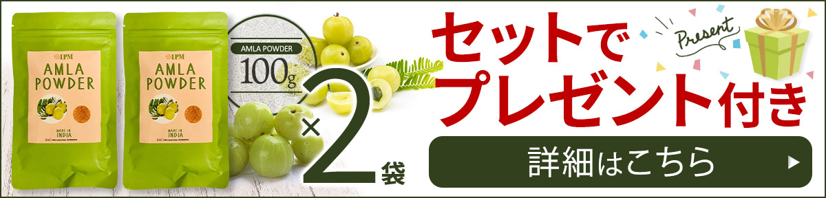 超特価SALE開催 IPM アムラパウダー 食品認可のアムラ粉末 100g ビタミン