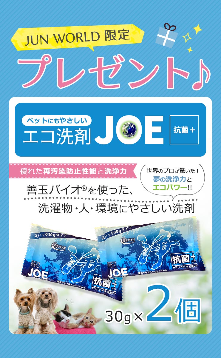 JOE抗菌プラス洗剤30gを2個プレゼント