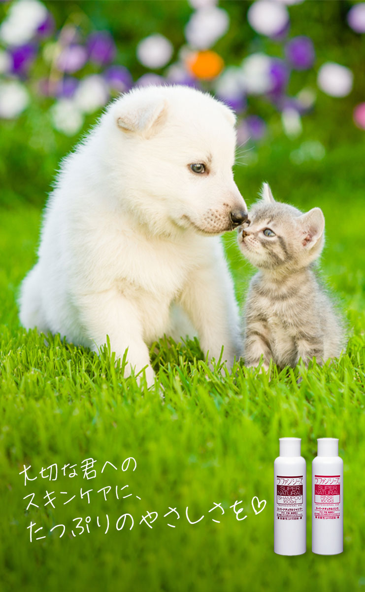 ラファンシーズ 犬用 猫用 ペット スーパーナチュラルシャンプー