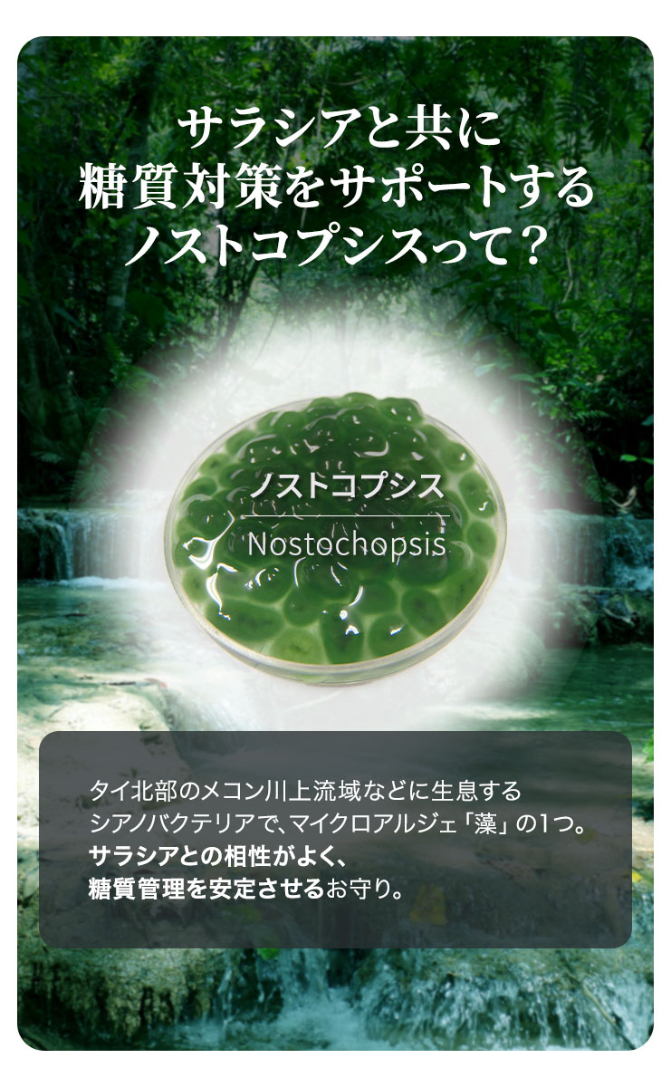 サラシアとともに糖質対策をサポートするノストコプシス