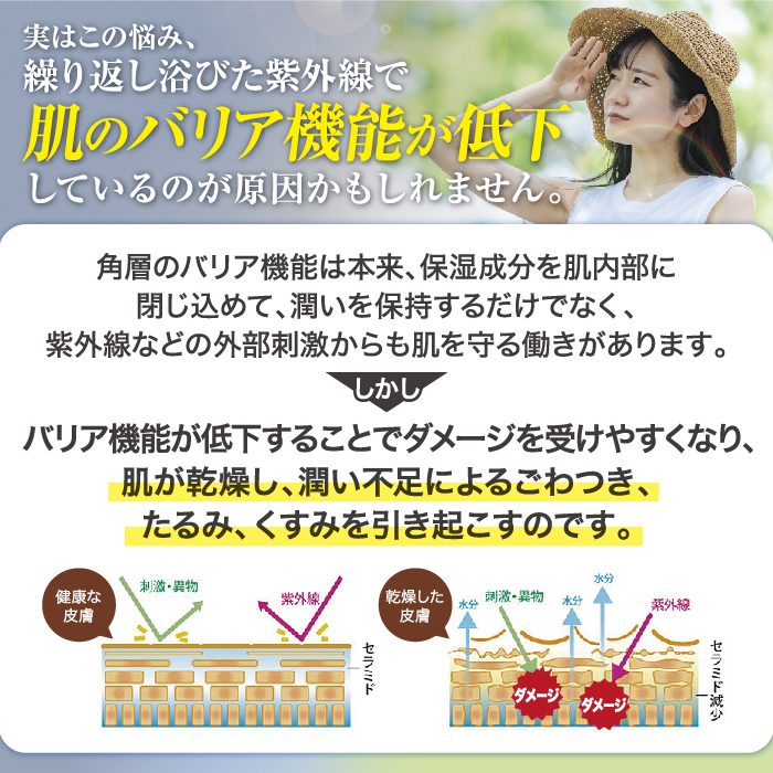 2本セット/10％OFF]馬セラミド美容原液 30mL×2本 : 北海道純馬油本舗