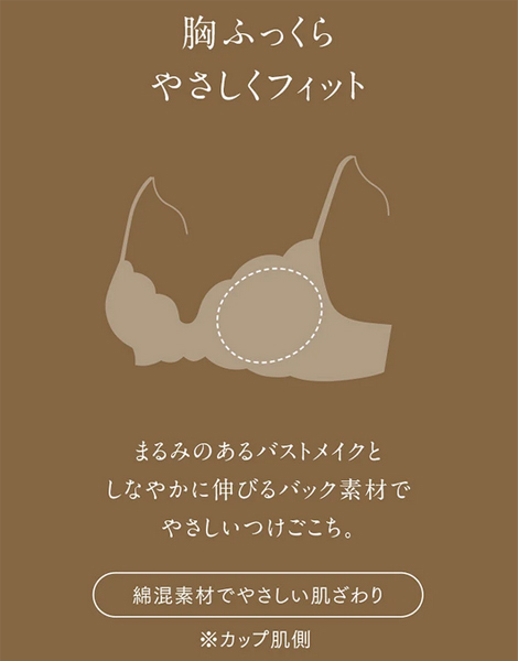 E75 ウイング/ワコール　レシアージュ　ブラジャー PB2820ほか　3点 Wing ワコール／ウイング レシアージュ [Lesiage] 3/4カップブラ