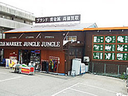 ジャングルジャングル深井店