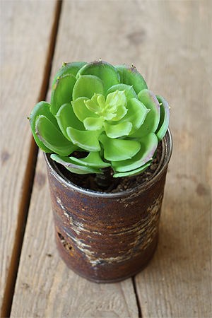 フェイクグリーン リアル おしゃれ 多肉 造花 ディスプレイ 飾り