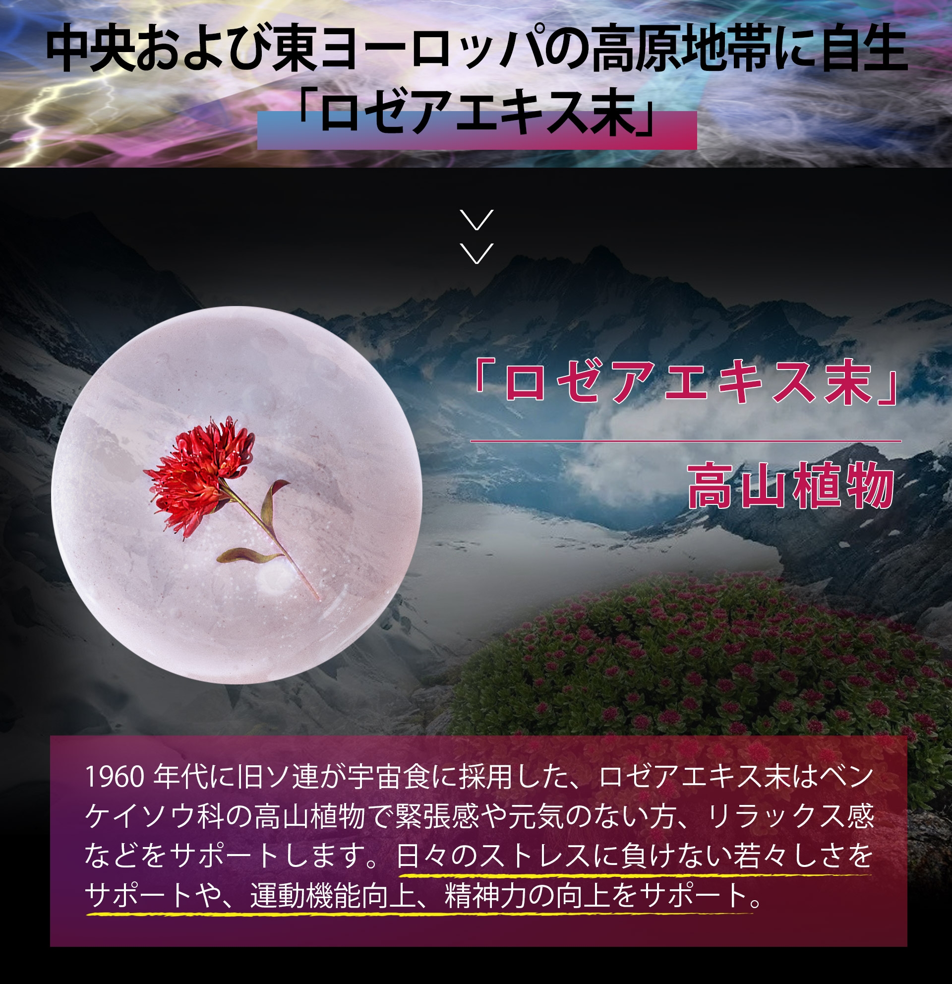 サプリメント 日本製 JUNSEIDO 潤生堂 RC女神の丸 めがみのまる 健康 