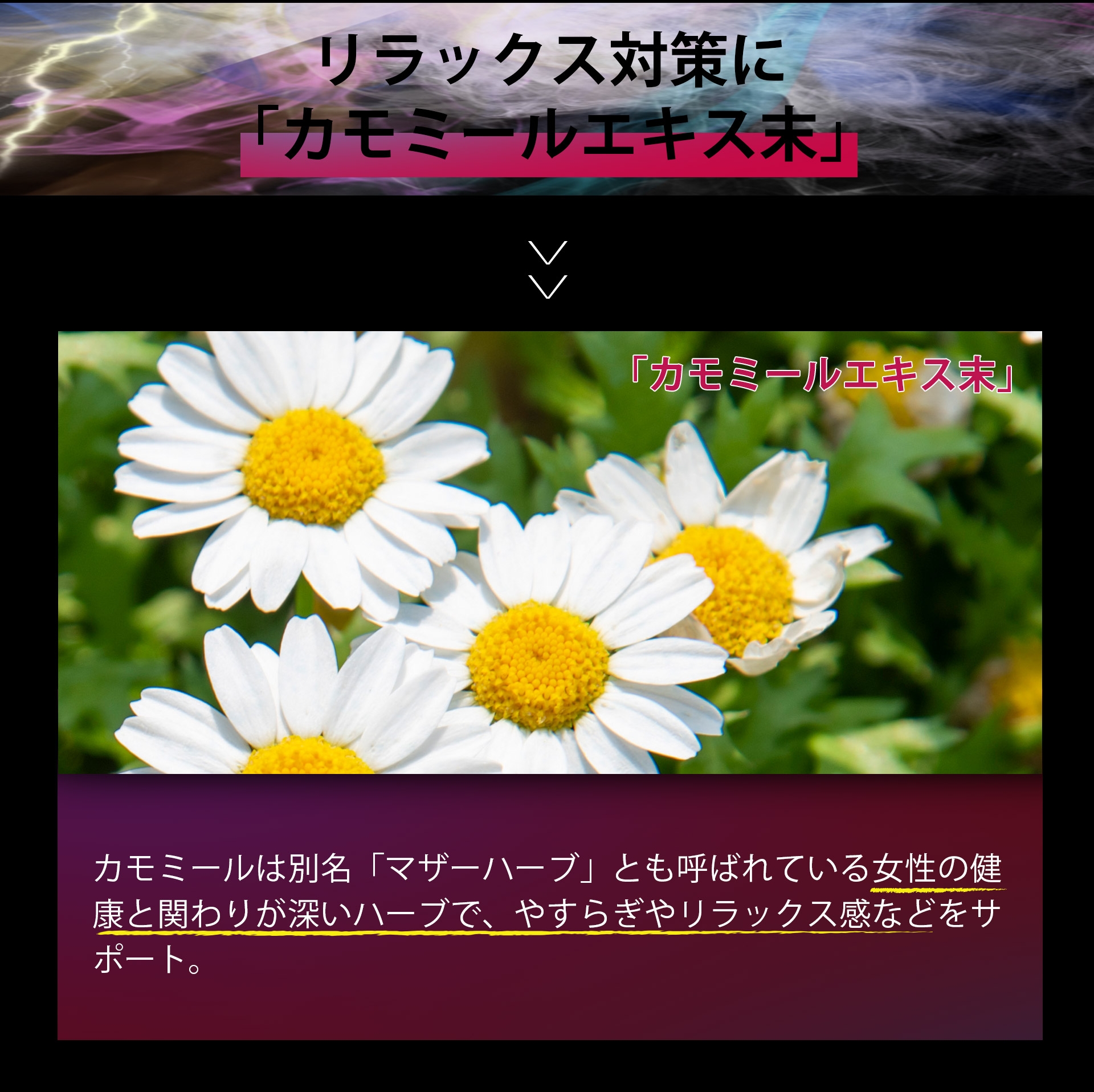 サプリメント 日本製 JUNSEIDO 潤生堂 RC女神の丸 めがみのまる 健康 