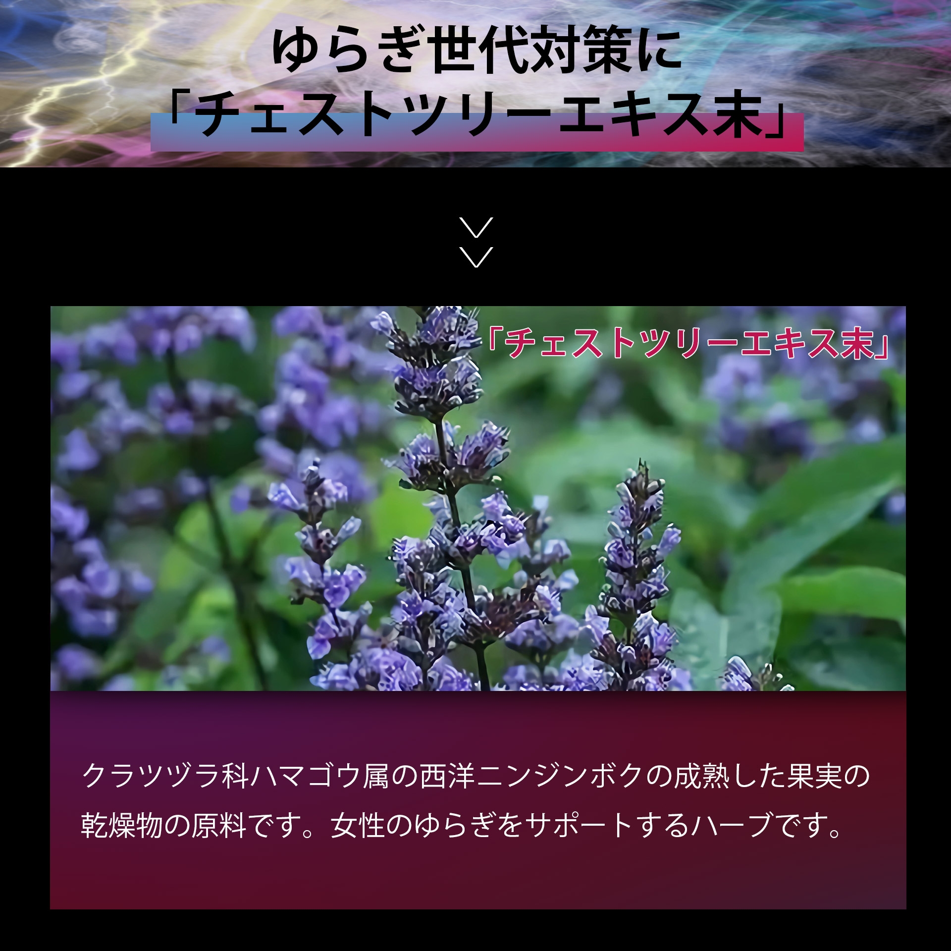 サプリメント 日本製 JUNSEIDO 潤生堂 RC女神の丸 めがみのまる 健康 