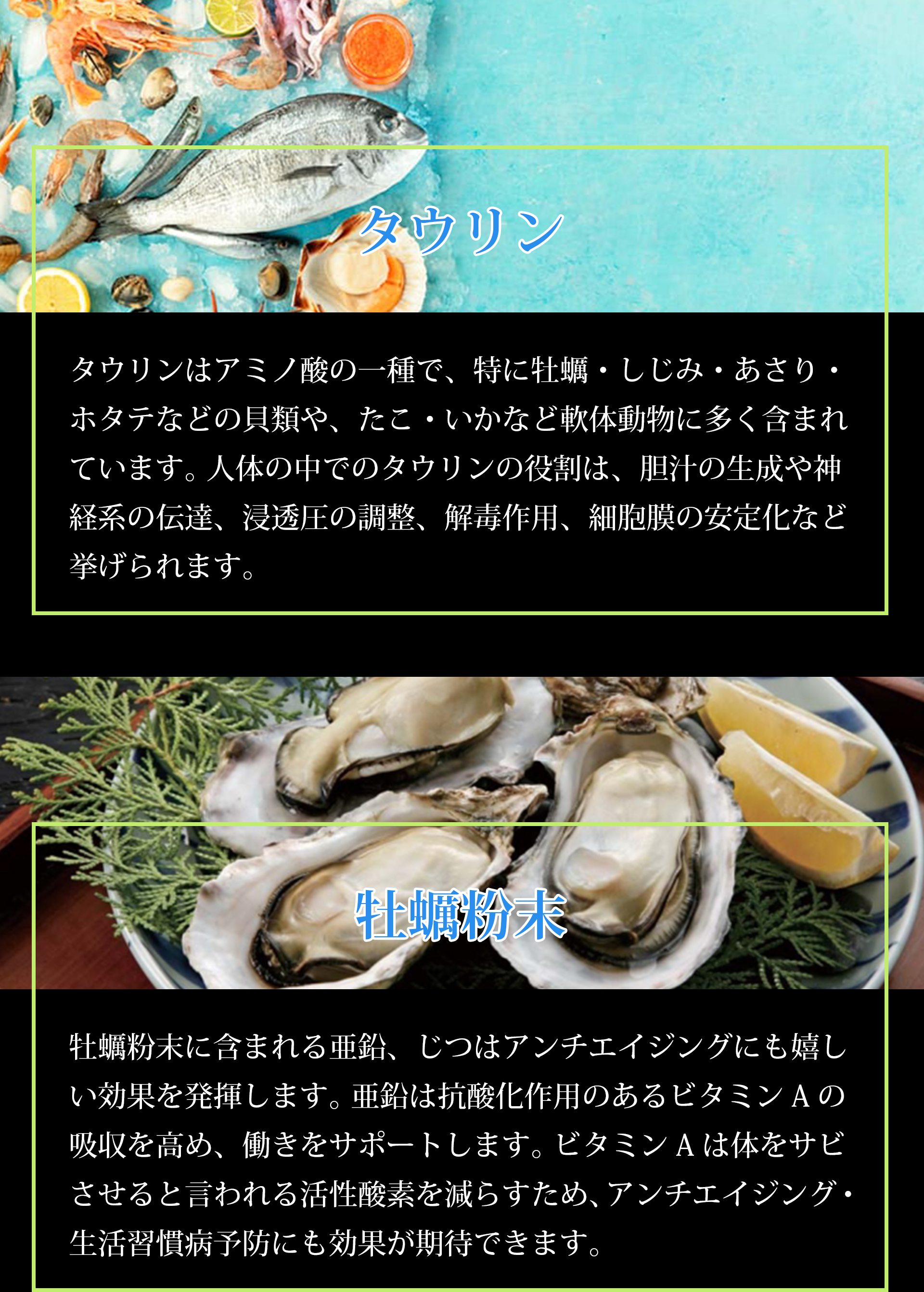 サプリメント 日本製 JUNSEIDO 潤生堂 覇王醉仙人 ウコン 酵母