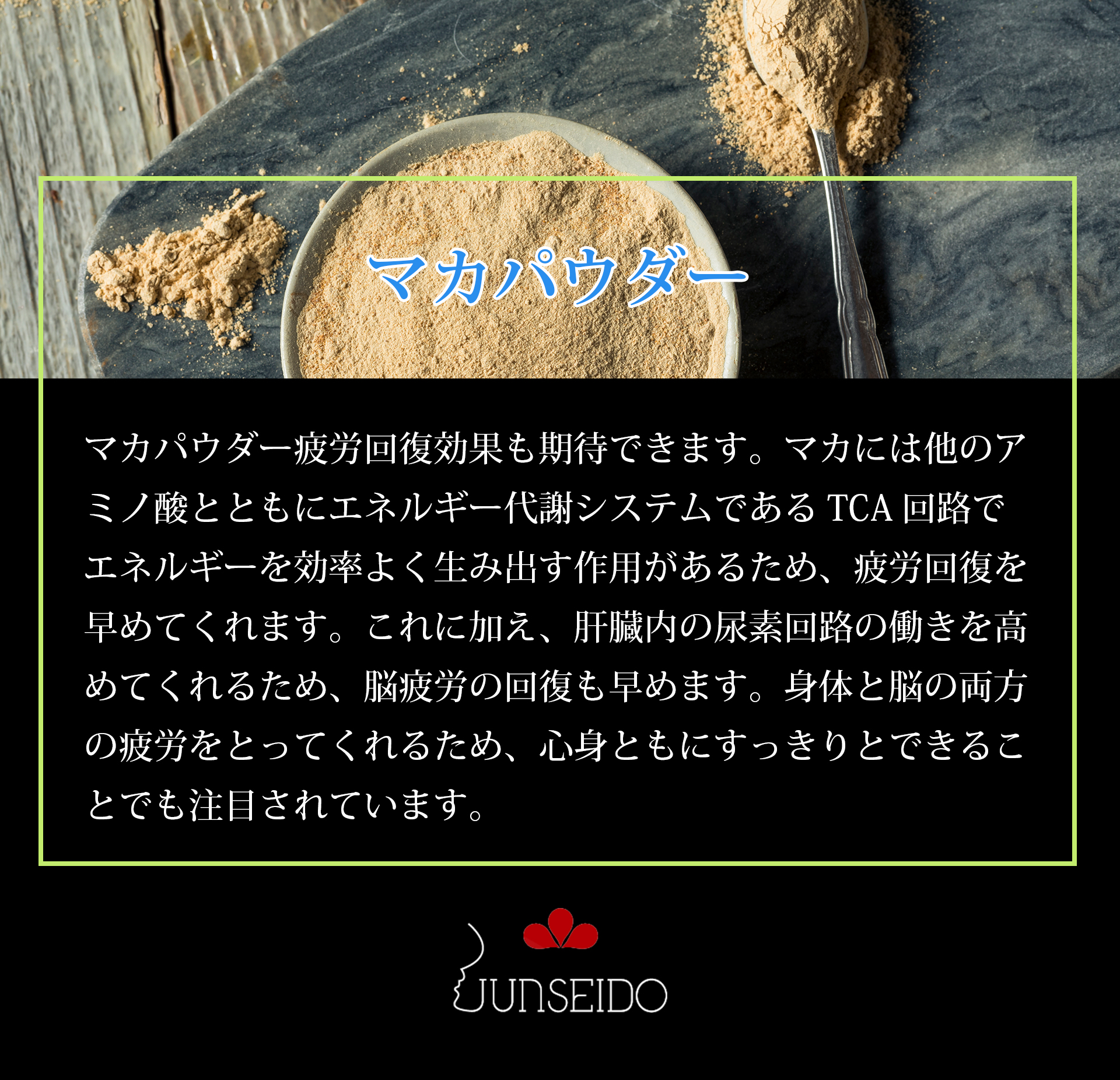 サプリメント 日本製 JUNSEIDO 潤生堂 覇王醉仙人 ウコン 酵母