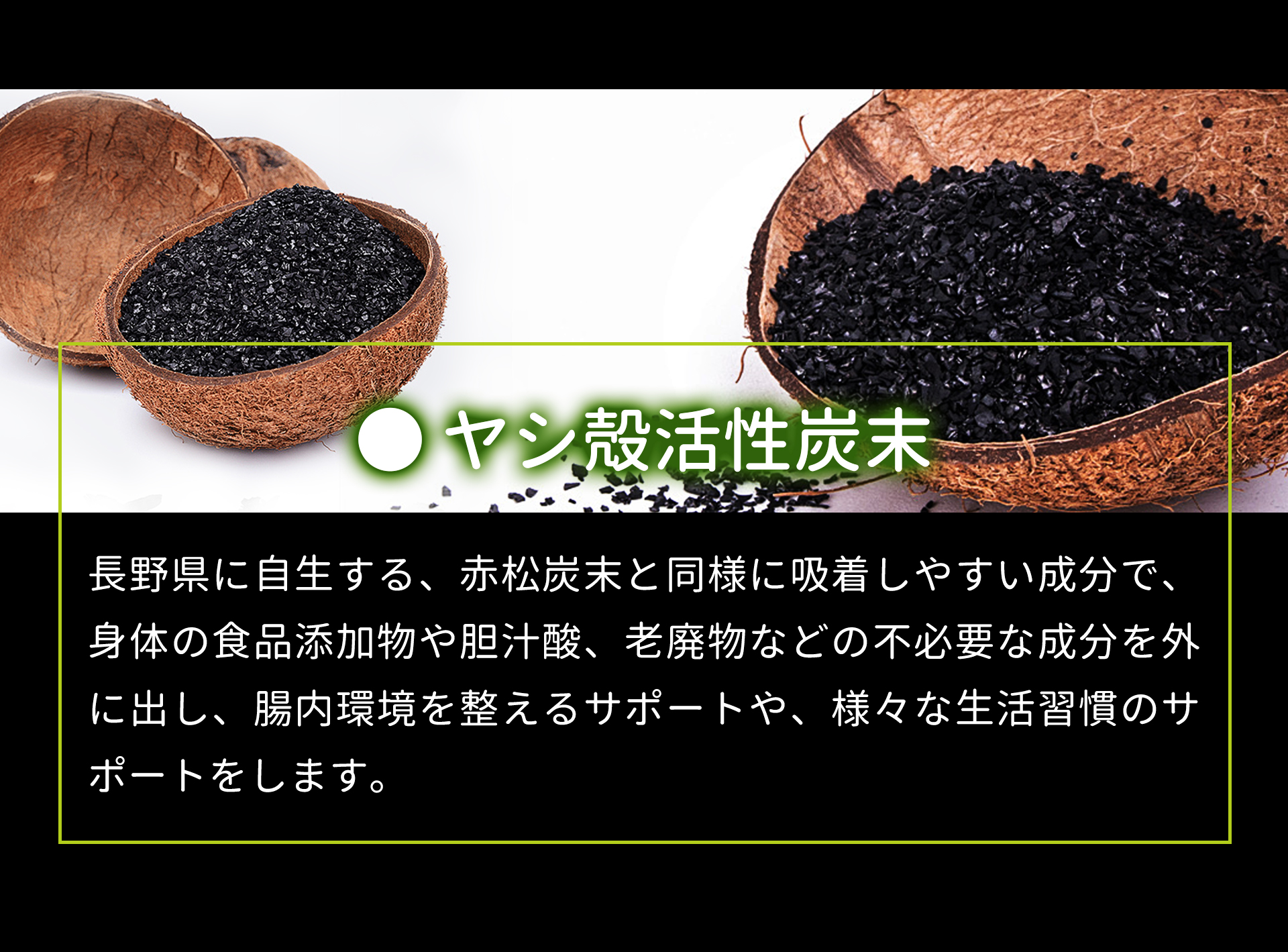 サプリメント 日本製 JUNSEIDO 潤生堂 CHARCOAL 赤松炭 ヤシ殻活性炭