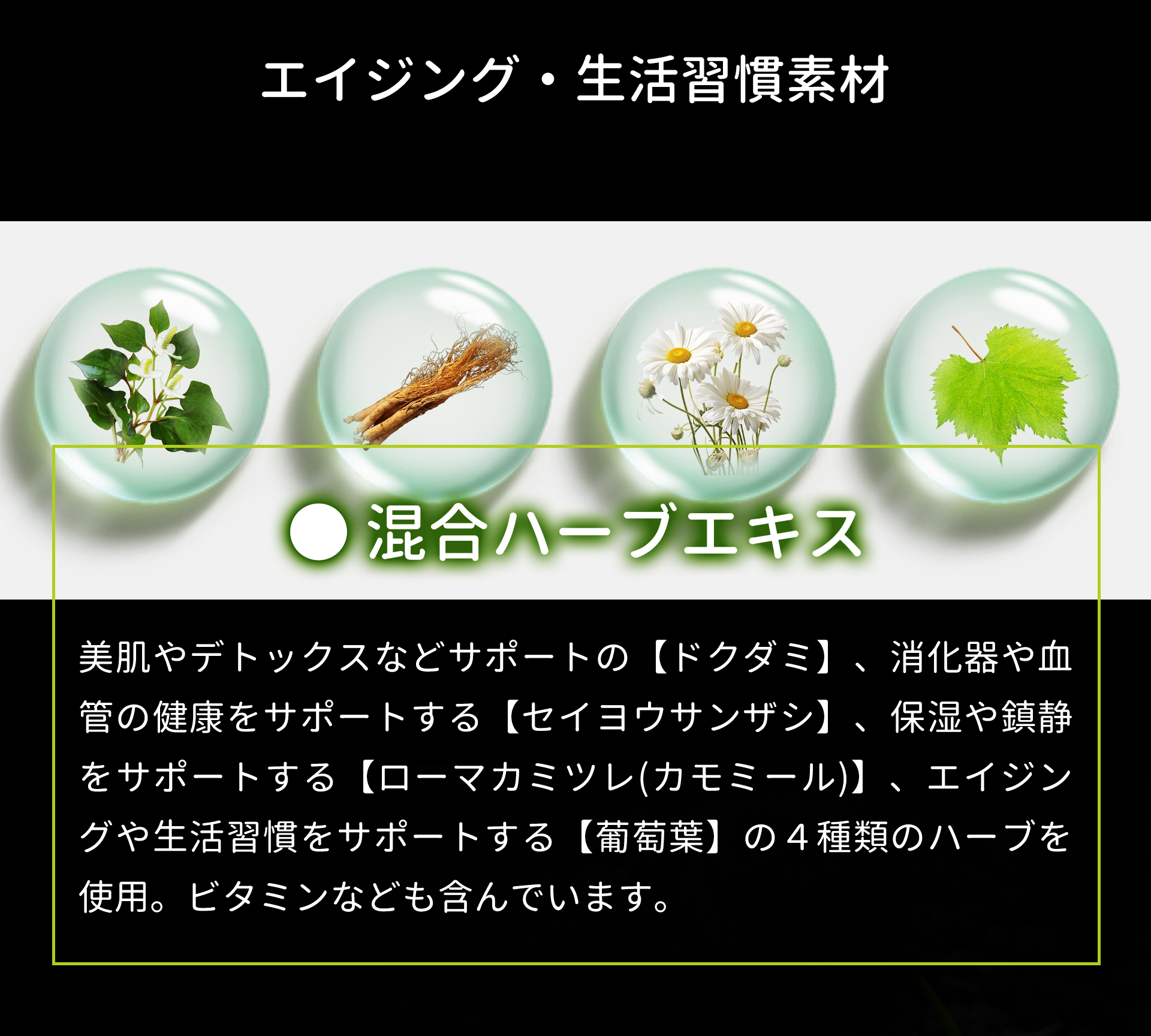 サプリメント 日本製 JUNSEIDO 潤生堂 CHARCOAL 赤松炭 ヤシ殻活性炭