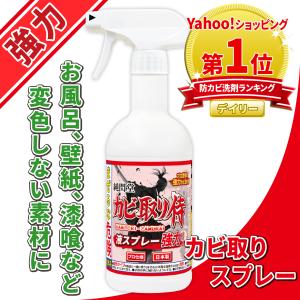 カビ取り侍 液スプレー 強力タイプ 500g 強力タイプ カビ カビ取り カビ取り剤 お風呂 壁紙 クロス 土壁 珪藻土 キッチン トイレ 外壁 エアコン KZ-L500P