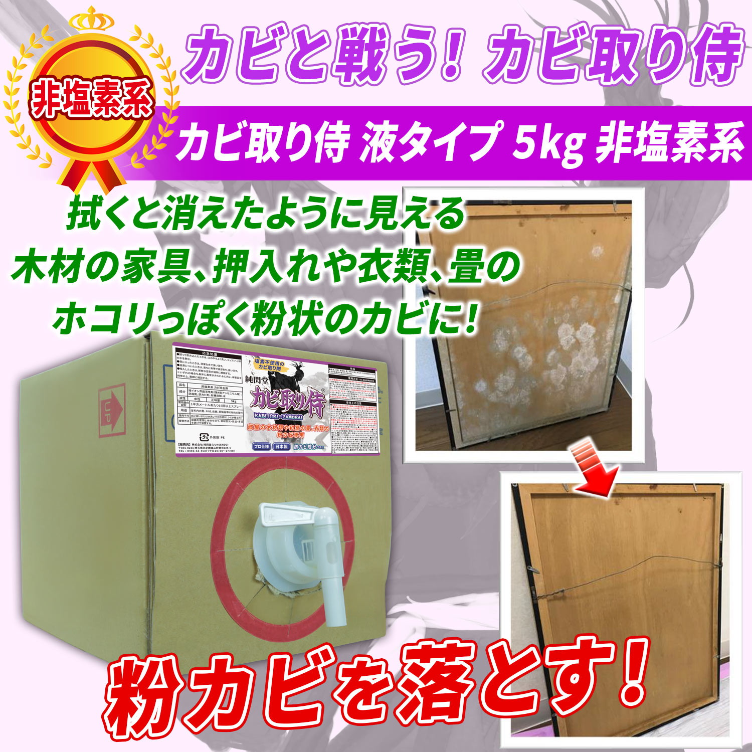どんぐり 100個 3月採取 水洗い 煮沸処理 陰干し 砲弾型 即日発送 楽天市場】[8月エントリーでP10倍!] 【楽天ランキング1位獲得