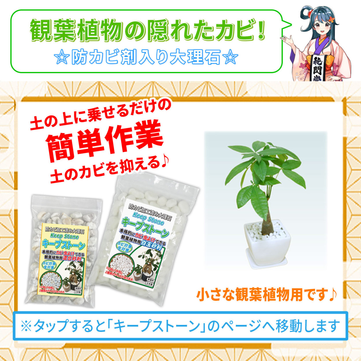 開店記念セール カビ 防カビ侍 水性タイプ 350g 詰め替え用 ノンアルコールの強力なカビ防止剤で部屋の壁紙 木材 畳 家具 床 靴をカビ対策 カビ掃除を簡単に Bz S350 S Academydosaber Com