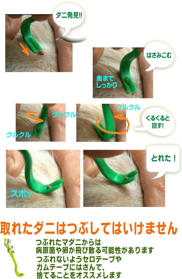 マダニ 取り器具 ティックツイスター Tick Twister 犬 猫 人 用 マダニ 取り 犬 猫 まだに ダニ ノミ ネコポス便対応 Tickremover ジェイユーショップ ヤフー店 通販 Yahoo ショッピング