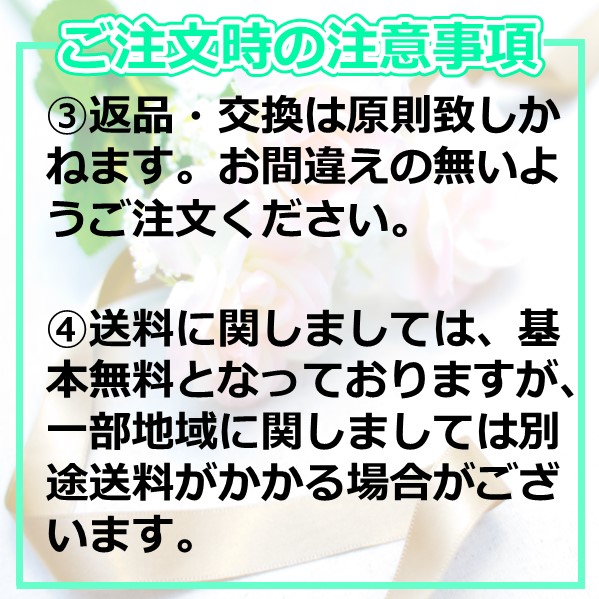 海外品 アンコキーヌ ネオ 45mm バイカラー ミニクロス シルバーベゼル インナーベゼルブラック ブラックベルト アルバ 正規品(腕時計・グルグル時計) 【7242259708】 (25693円)