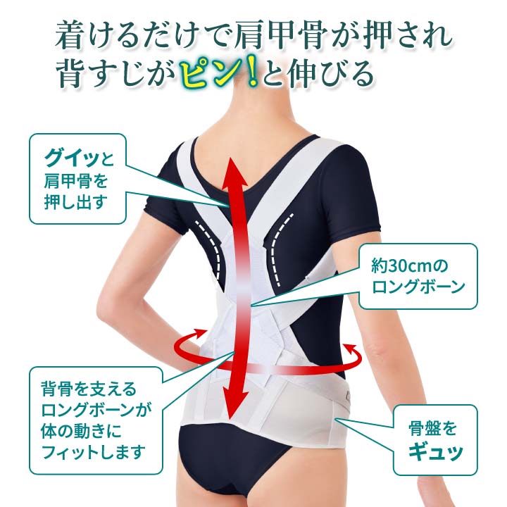 サポーター 背筋 骨盤 男女兼用 補正 美姿勢 サポートベルト