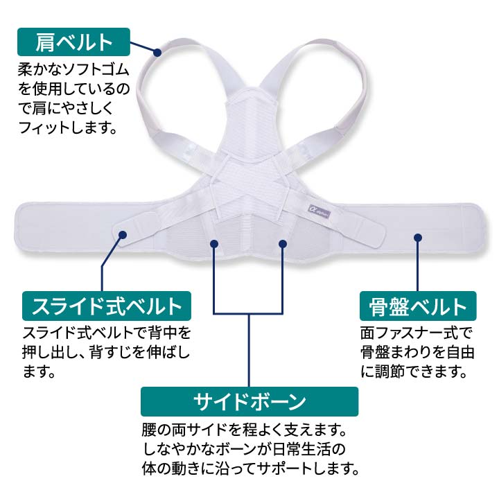 サポーター 背筋 骨盤 男女兼用 補正 美姿勢 サポートベルト