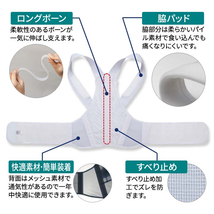サポーター 背筋 骨盤 男女兼用 補正 美姿勢 サポートベルト