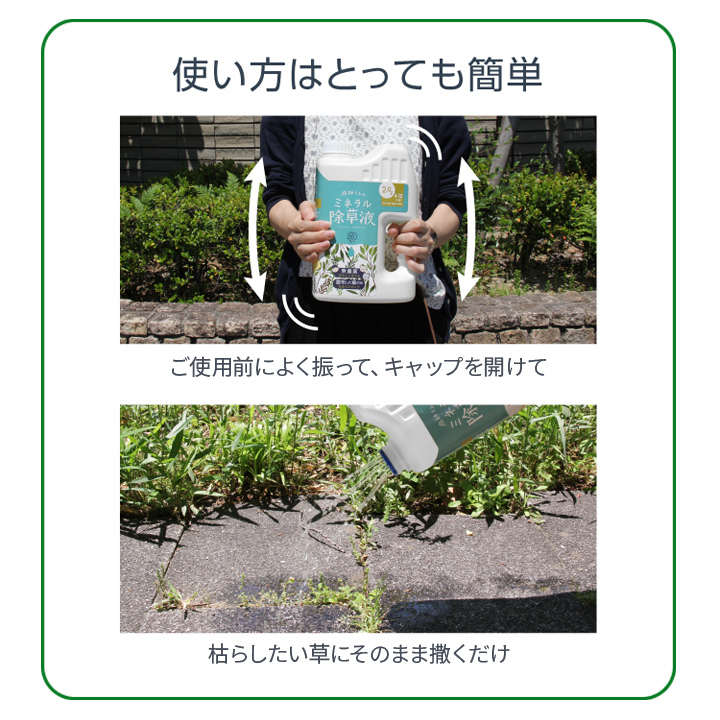 除草剤 庭 安全 ペット 雑草対策 日本製 根まで枯らす 無臭 非農耕地用 家庭用 園芸 便利グッズ 無害 庭師さんのミネラル除草液2L  :01317067:ジャストパートナー Yahoo!店 - 通販 - Yahoo!ショッピング